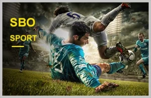 sports betting wecards