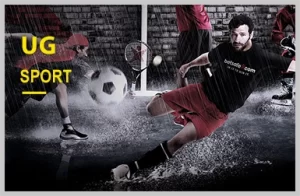 sports betting wecards